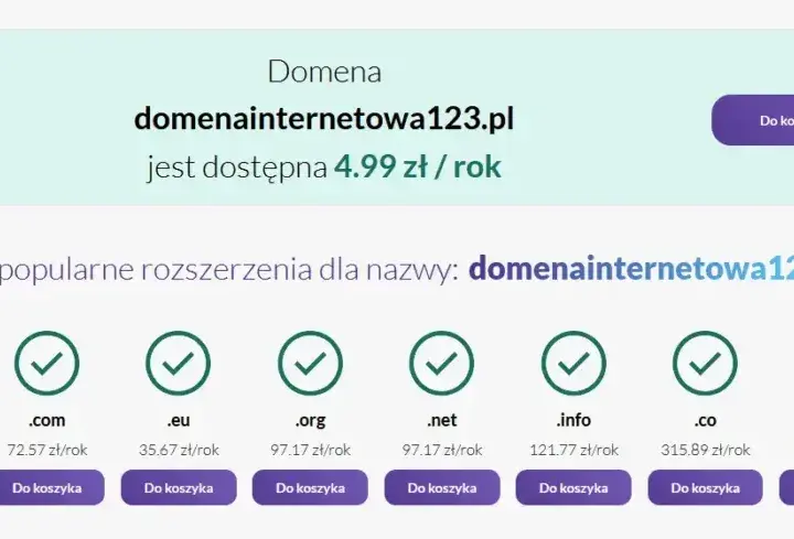 Koszty utrzymania strony: Oszacuj roczne wydatki i nie przepłacaj!
