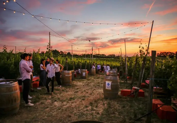 Un magico aperitivo in vigna al tramonto, con luci soffuse e amici che brindano tra le botti.