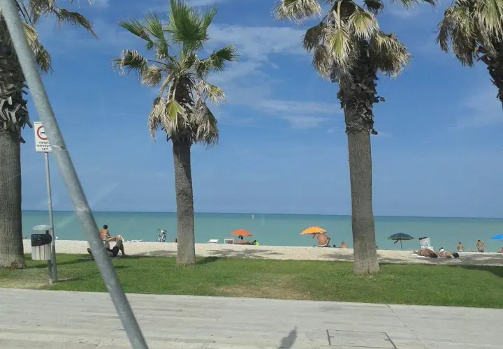 Palme e mare azzurro a Porto Sant'Elpidio. Cosa vedere? La spiaggia, il sole e il relax.