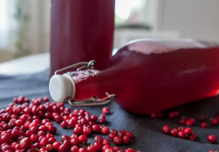 Färdig lingondricka i flaskor, omgivna av färska lingon. Perfekt för ett enkelt lingondricka recept.