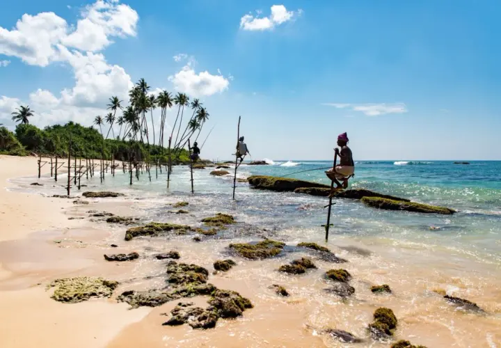 Rybołówka na palach w Mirissa, Sri Lanka. Trzech rybaków łowi ryby siedząc na drewnianych słupach w płytkiej wodzie.