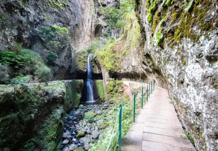 A scenic path along the Levada do Moinho leads to a cascading waterfall nestled within a moss-covered canyon.
