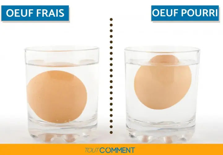 Un œuf frais coule au fond d'un verre d'eau, tandis qu'un œuf pourri flotte. Voici comment savoir si un œuf est bon.
