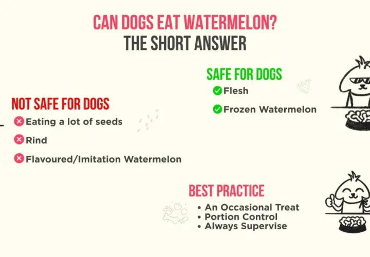 Can dogs have watermelon? Yes, the flesh and frozen watermelon are safe. Avoid seeds, rind, and flavored versions.