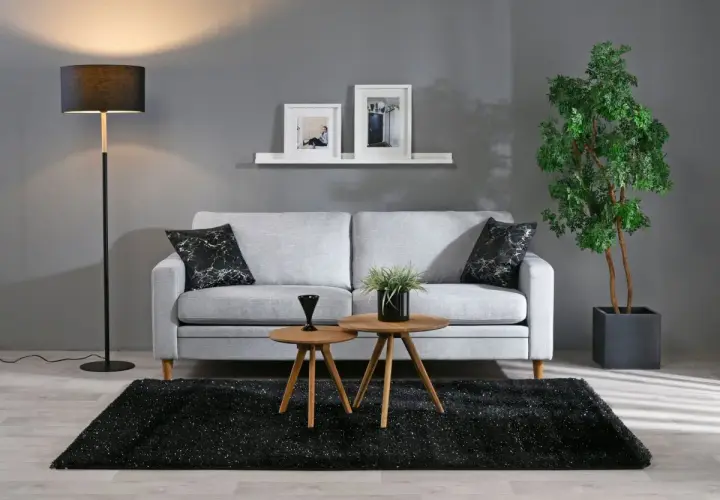 Ett modernt grått och beige vardagsrum med soffa, soffbord, matta och golvlampa. En grön växt ger liv åt rummet.