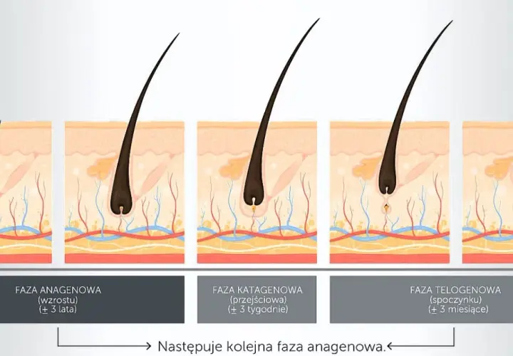 Optymalna długość włosków do depilacji woskiem: 5-10 mm?
