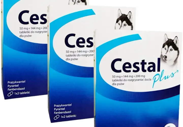 Cestal dla psa - Cestal Plus, Porady i Cena