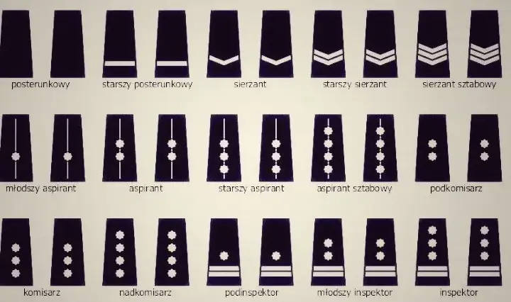 Ile zarabia sierżant sztabowy w policji? Zaskakujące fakty o wynagrodzeniu