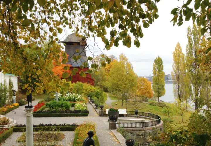 En höstlig park i Stockholm med en väderkvarn, blomsterrabatter och träd i gyllene färger. En vacker men lite tricky vy.