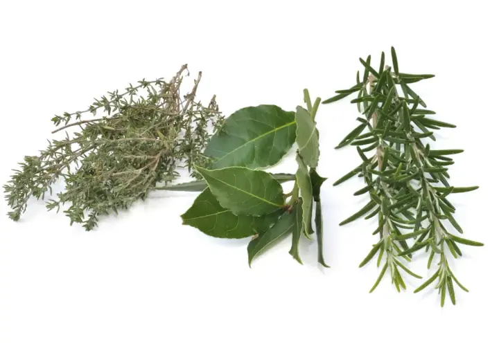 Tomillo, laurel y romero, ingredientes esenciales para un auténtico condimento italiano.