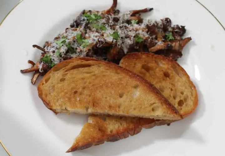 Stekta kantareller med vitlök och persilja, serverade med rostat surdegsbröd. Ett enkelt och gott kantareller recept.