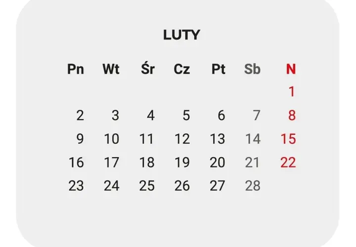 Kalendarz z miesiącem Luty, dniami tygodnia i numerami dni.