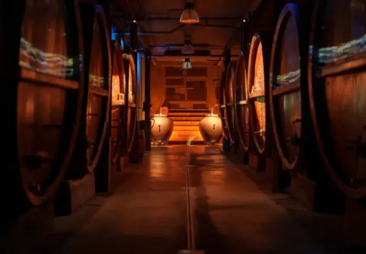 Cave d'Alsace, allées de foudres en bois, ambiance feutrée pour une dégustation vin alsace.