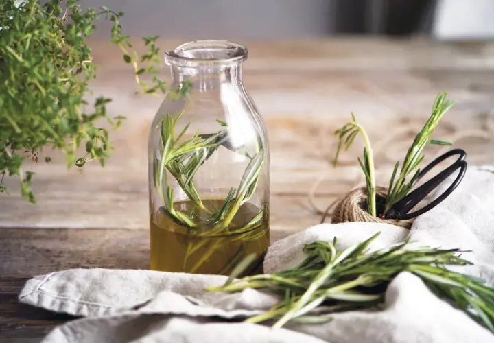 Aceite de romero infusionado en botella, ideal para el alopecia femenina tratamiento natural. Hierbas frescas y tijeras a un lado.