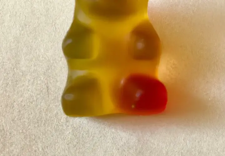 Ile kcal mają żelki Haribo? Cała prawda o kaloriach i cukrze.