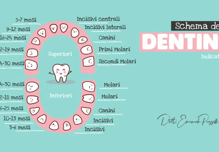 Schema dei dentini per bambini di 2 anni, con indicazioni sui tempi di eruzione dei denti da latte.