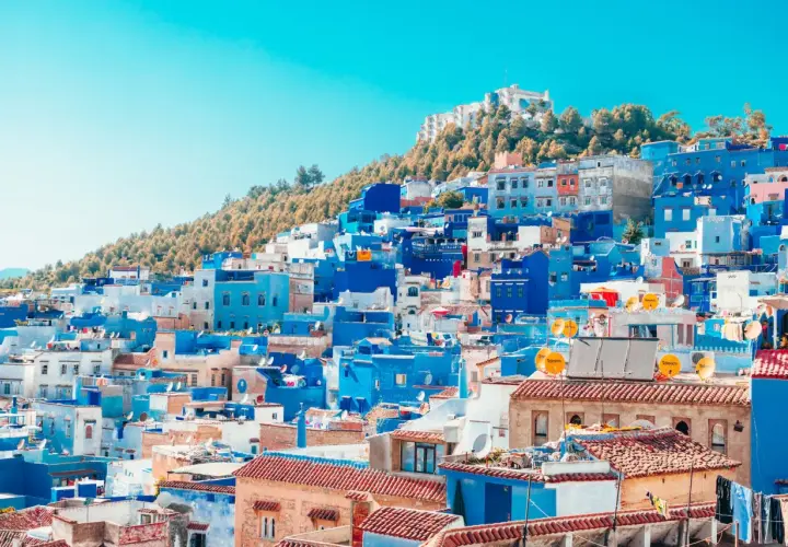 Widok na niebieskie i białe budynki miasta Chefchaouen w Maroku, na tle wzgórza.