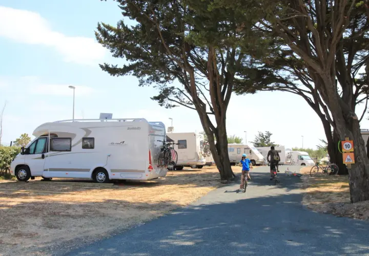 Journée ensoleillée sur une aire de camping-car en Île de Ré. Des camping-cars sont garés sous les pins, tandis que des enfants font du vélo sur le chemin.