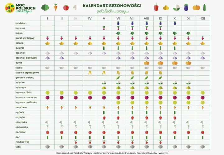 Kalendarz promocji: Kiedy kupować, by oszczędzać? Sprawdź!