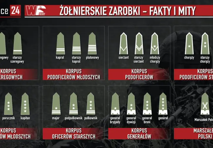 Grafika przedstawia stopnie wojskowe, od szeregowego do Marszałka Polski. Widoczny jest stopień plutonowy.