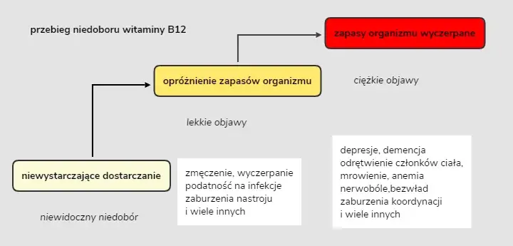 Niedobór wit B12 objawy neurologiczne - nie ignoruj tych sygnałów!