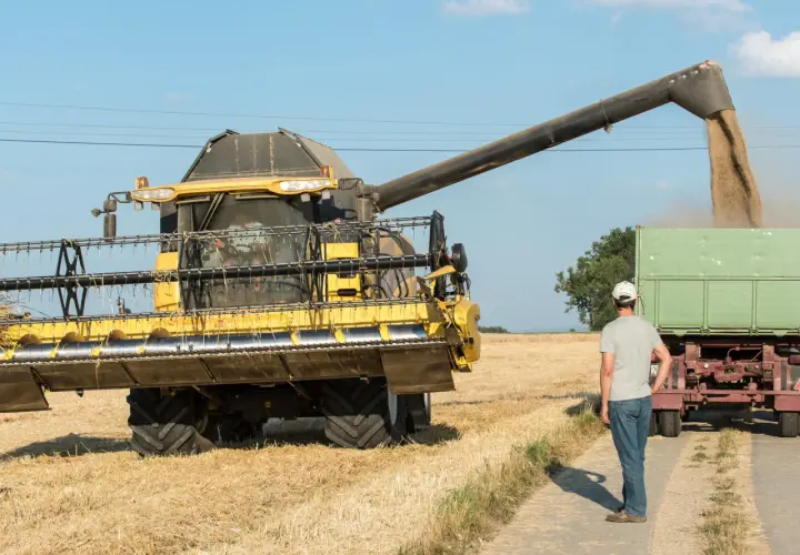Mähdrescher entlädt Getreide in Anhänger. Ein Mann steht daneben. Dies ist ein Beispiel für Landwirtschaft im Nebenerwerb, bei dem die steuerlichen Aspekte eine Rolle spielen.