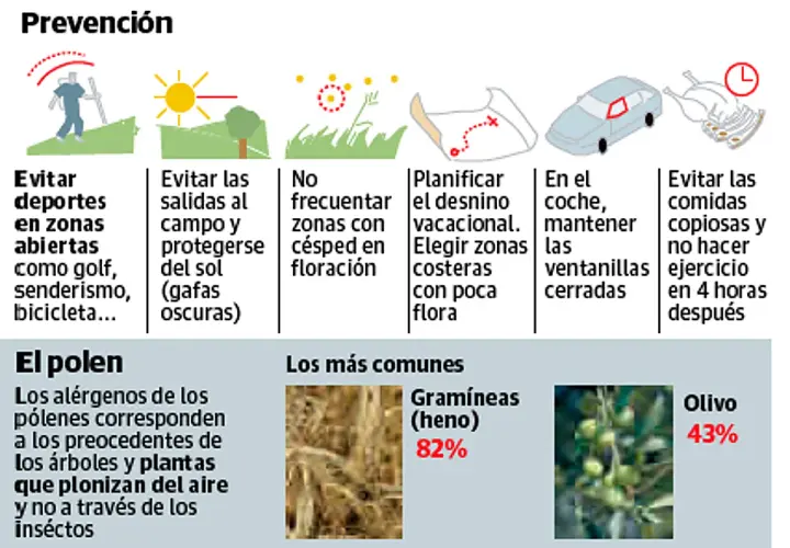 Prevención de alergias al polen de maleza: evita zonas verdes en floración, elige destinos costeros y mantén ventanas cerradas en el coche.