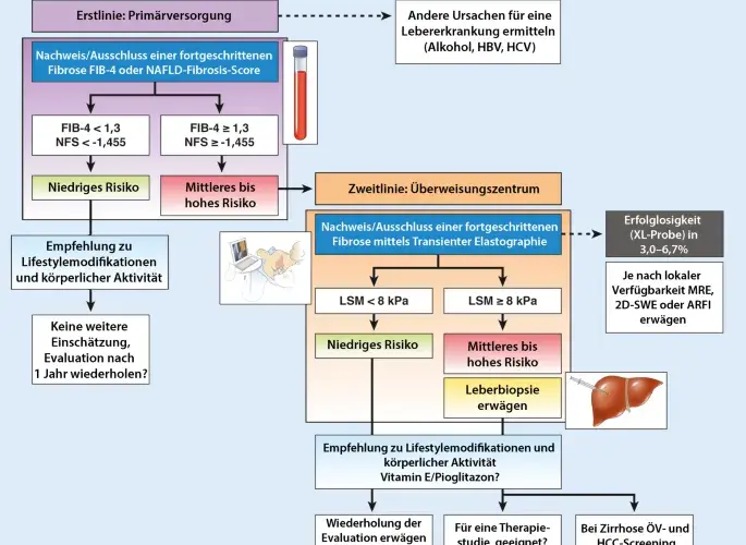 Leberzirrhose Diagnostik: Wichtige Tests und Verfahren zur Früherkennung
