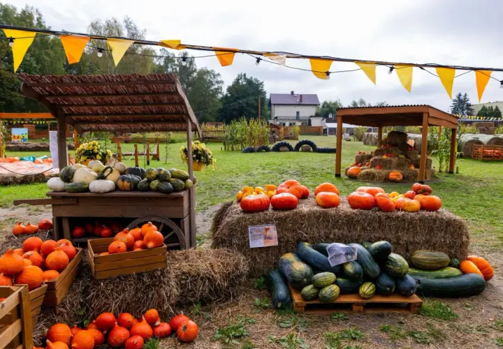Farma dyni w Warszawie oferuje bogactwo jesiennych zbiorów. Na straganach i belach siana znajdziesz dynie, kabaczki i inne warzywa.