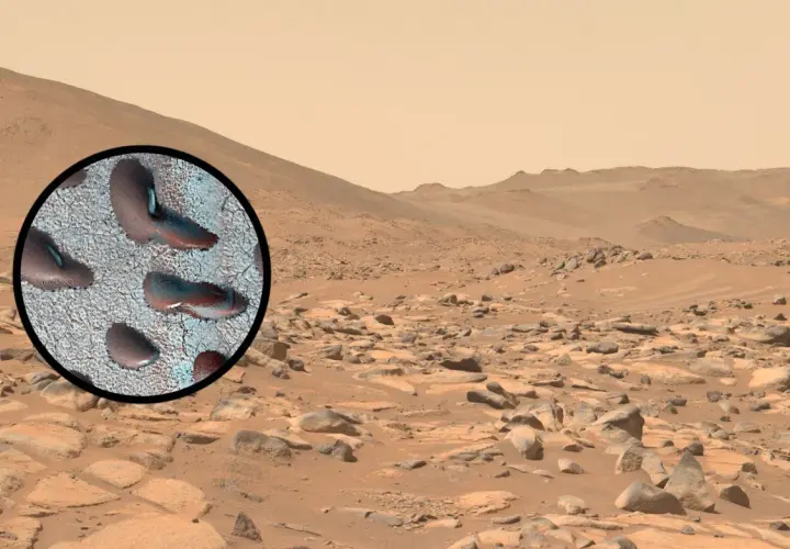 Zbliżenie na powierzchni Marsa ukazuje ślady, które mogą sugerować mars życie. Krajobraz Czerwonej Planety z kamieniami i piaskiem.