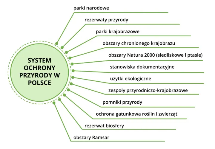 Schemat systemu ochrony przyrody w Polsce z wypisanymi 9 kluczowymi typami.