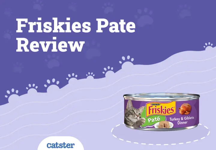 Friskies Pate Review: Is Friskies a good cat food? This image shows a can of Friskies Turkey & Giblets Dinner pate with a cat looking at it.