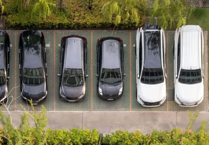 Rząd samochodów na parkingu. Widać, że odległość miejsc postojowych od granicy działki jest odpowiednia, zapewniając komfort.
