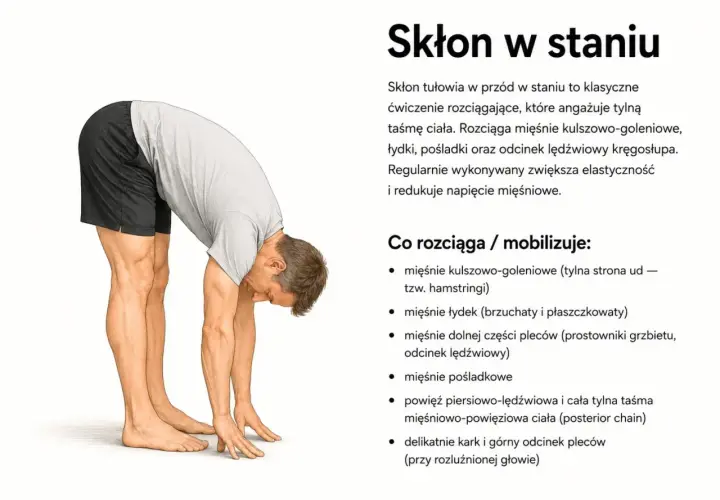 Mężczyzna wykonuje skłon w staniu, rozciągając tylną taśmę ciała. To ćwiczenie pokazuje, co daje stretching: zwiększa elastyczność i redukuje napięcie mięśni.