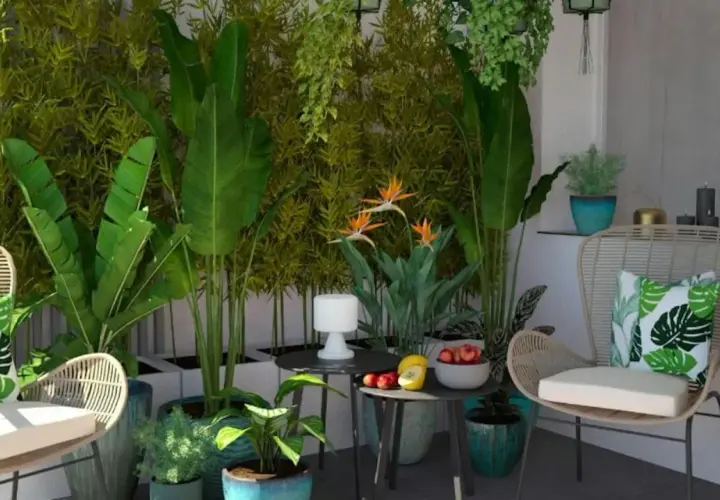 Zielony, bujny balkon z rattanowymi meblami, roślinami i kwiatami rajskiego ptaka.