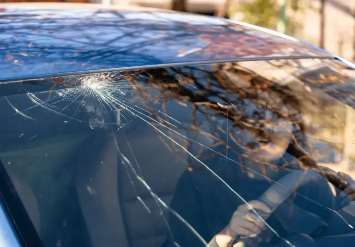 Un parabrezza rotto mostra una ragnatela di crepe che si irradiano da un punto d'impatto. Riflessi di alberi e una persona al volante sono visibili attraverso il vetro danneggiato.