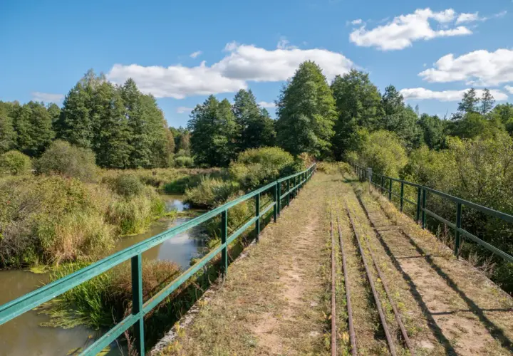 Most starym, zarośniętym torowiskiem w Puszczy Białowieskiej. Idealne miejsce na zwiedzanie i podziwianie przyrody.