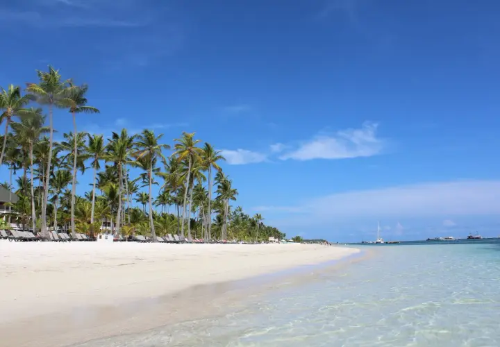 Rajska plaża w Punta Cana, z palmami i turkusową wodą, idealne miejsce na relaks i odkrywanie atrakcji.