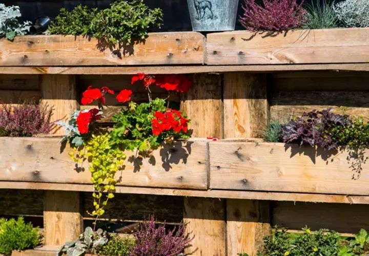 Sichtschutz aus Paletten mit bunten Blumen und Heidekraut. Eine kreative und natürliche Gartengestaltung.