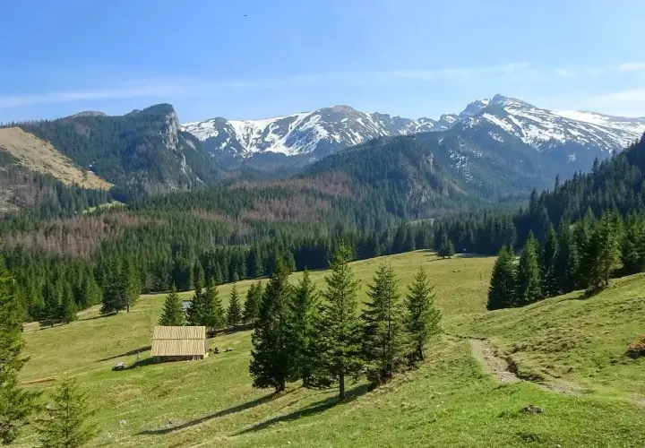 Malowniczy widok na Tatry, idealny na wycieczki jednodniowe z Zakopanego. Drewniana chata i szlak wiodą przez zielone hale.
