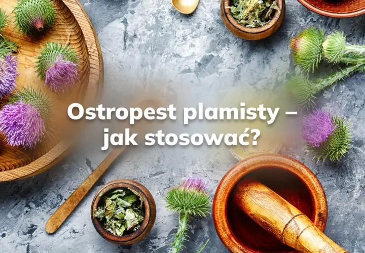 Jak zażywać ostropest? Maksymalna skuteczność i bezpieczeństwo!