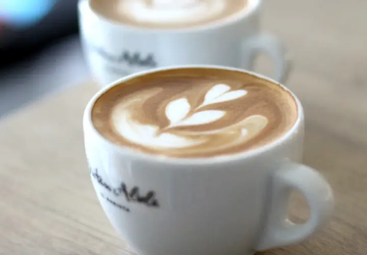 Zwei Tassen Cappuccino mit Latte Art, die an Blätter erinnert. Perfekt für Ihre eigenen Cappuccino Rezepte.