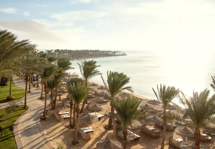 Rajski widok na plażę z palmami, leżakami i parasolami. Słońce odbija się w spokojnym morzu. Idealne miejsce na relaks w Palm Royale Soma Bay.