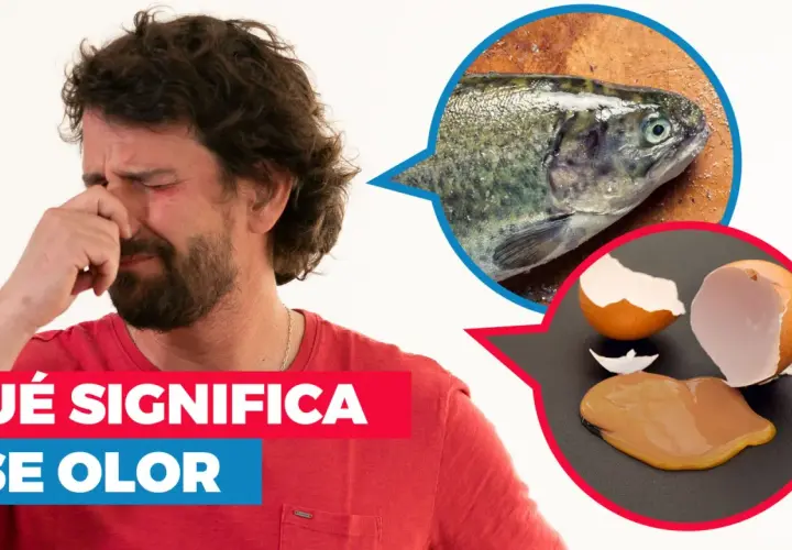 Hombre con cara de asco, tapándose la nariz. Un pez y un huevo roto sugieren un olor a amoniaco.