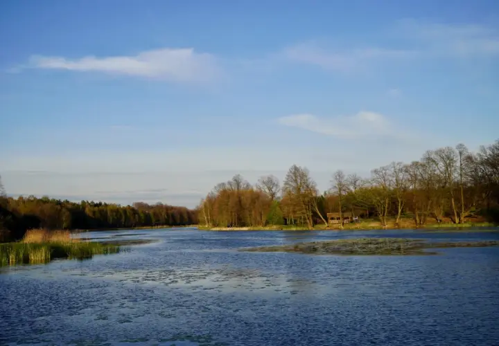 Spokojna tafla jeziora w otoczeniu lasu, z widocznymi trzcinami i drewnianą altanką. Idealne miejsce na odpoczynek od zgiełku, z dala od kleszczów.