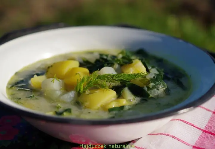 Aksamitna zupa z kalarepy z ziemniakami i koperkiem, podana w białej misce na tle zielonej trawy.