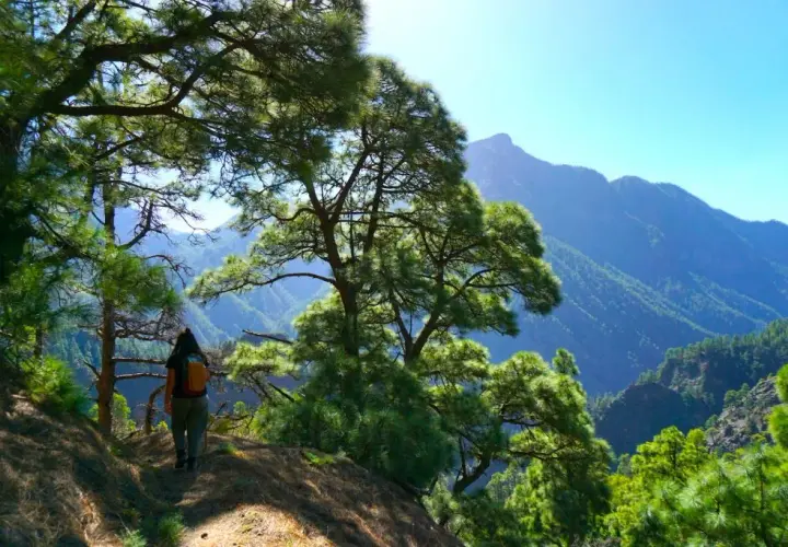 La isla más bonita de las Canarias: La Palma y su belleza natural