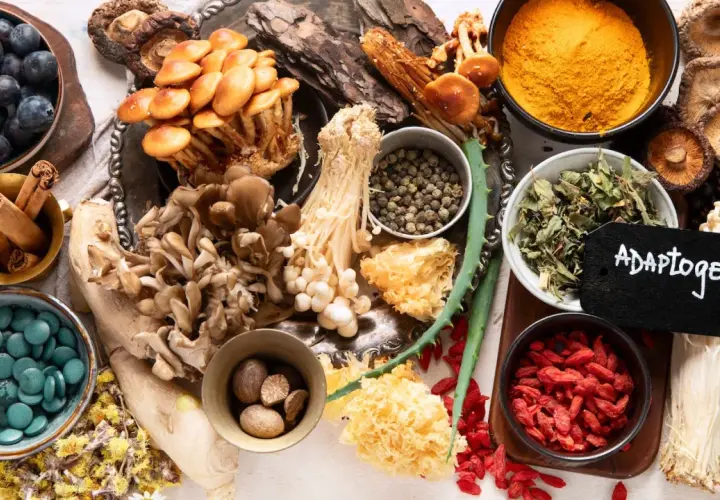 Vielfalt an adaptogenen Pflanzen: Blaubeeren, Pilze, Zimt, Kurkuma, Goji-Beeren und mehr.
