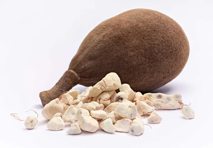 Frutto di baobab e polpa essiccata, mostrando le incredibili proprietà benefiche di questo superfood africano.