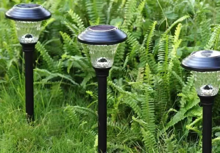 Trzy lampy solarne w ogrodzie, pokazujące, jak działa lampa solarna: panel zbiera energię słoneczną, która zasila żarówkę po zmroku.